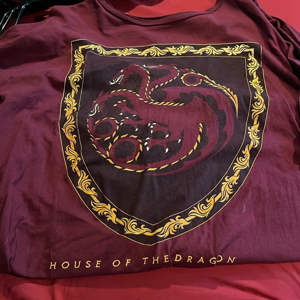House of the dragon